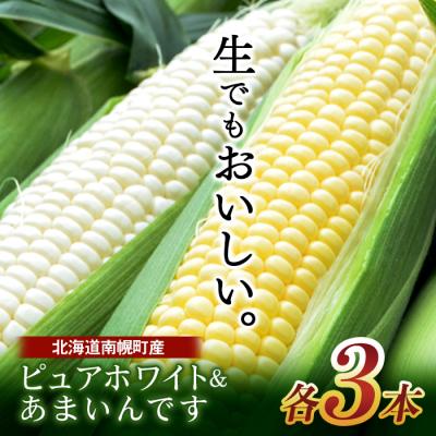 ふるさと納税 南幌町 令和8年発送 北海道産 とうもろこし ピュアホワイト3本&amp;あまいんです3本 計6本