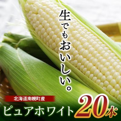 ふるさと納税 南幌町 令和8年配送 北海道産 とうもろこし ピュアホワイト 20本 朝採れ 一番果