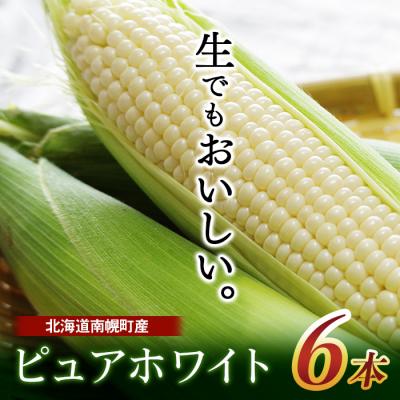 ふるさと納税 南幌町 令和8年発送 北海道産 とうもろこし ピュアホワイト 6本 /一番果 とうきび 産地直送