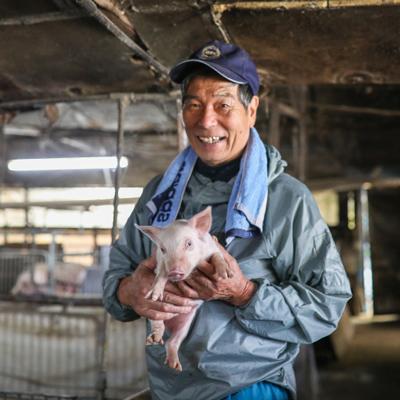 ふるさと納税 宿毛市 ポークソーセージ(ウインナー)詰め合わせ 　