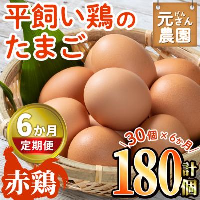 ふるさと納税 佐伯市 &lt;定期便・全6回 (連続)&gt;平飼い赤鶏のたまご (総量180個・S-Mサイズ30個×6回)