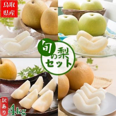 ふるさと納税 八頭町 [訳あり]鳥取県産旬の梨セット 4kg