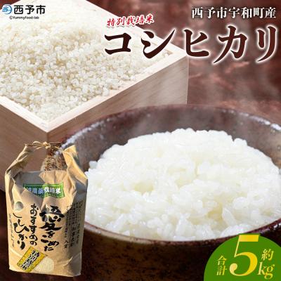 ふるさと納税 西予市 <令和7年産:西予市宇和町産特別栽培米コシヒカリ5kg> コメ ご飯 ごはん 特産品