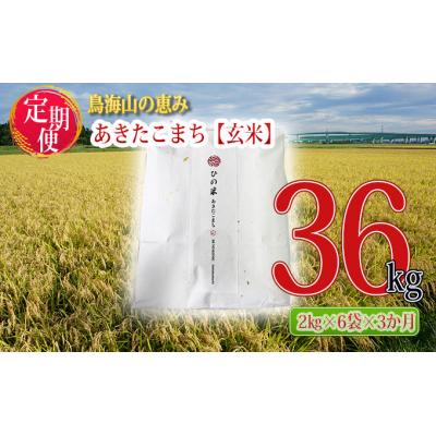 ふるさと納税 にかほ市 2kg×6袋×3ヶ月 秋田県産あきたこまち(玄米) 定期便