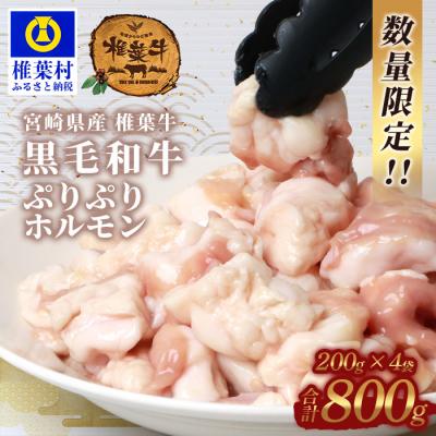 ふるさと納税 椎葉村 宮崎県産 椎葉牛 ぷりぷりホルモン(小腸)200g×4袋 合計800g[もつ鍋・焼肉用]ホルモン焼き