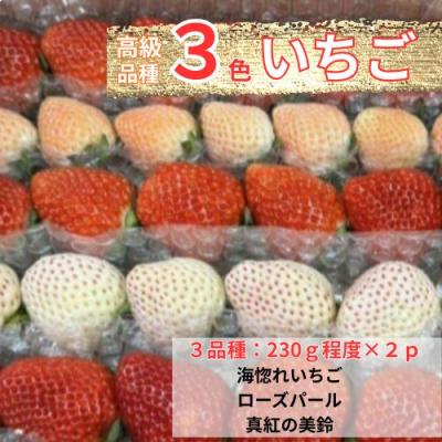 ふるさと納税 奈半利町 高級品種3色いちごBOX 110003