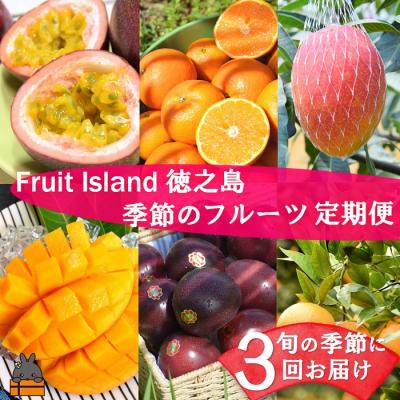 ふるさと納税 徳之島町 フルーツアイランド徳之島 季節のフルーツ定期便