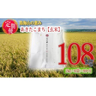 ふるさと納税 にかほ市 12kg×9ヶ月 あきたこまち(玄米) ひの米(2kg 小分け 定期便)