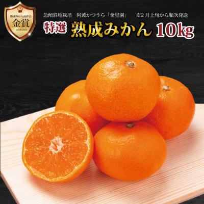 ふるさと納税 勝浦町 金星園 特選 熟成みかん 秀品 S-LLサイズ 10kg