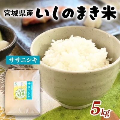 ふるさと納税 石巻市 米 令和7年産 ササニシキ 精米 5kg いしのまき米 白米 お米 ごはん 米5キロ いしのまき産米