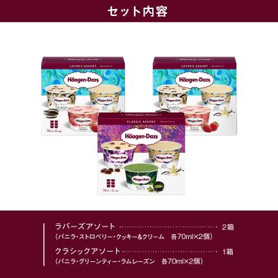 ふるさと納税 浜中町 【着日指定できます!!】 ハーゲンダッツ バラエティセット_H0016-110_1
