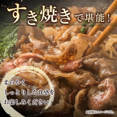 ふるさと納税 西都市 宮崎牛　赤身スライス　500g　A4等級以上[2123]｜y-sf｜03