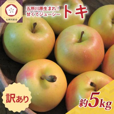 ふるさと納税 五所川原市 [10月後半以降順次発送] りんご 約5kg 訳あり トキ 青森県産