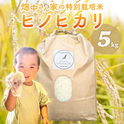 ふるさと納税 三宅町 特別栽培米 減農薬 畑中さんの ひのひかり 白米 5kg ヒノヒカリ 奈良県 三宅町