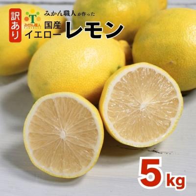 ふるさと納税 愛南町 訳あり イエロー レモン りのか 5kg 愛媛県 愛南町みかん職人武田屋