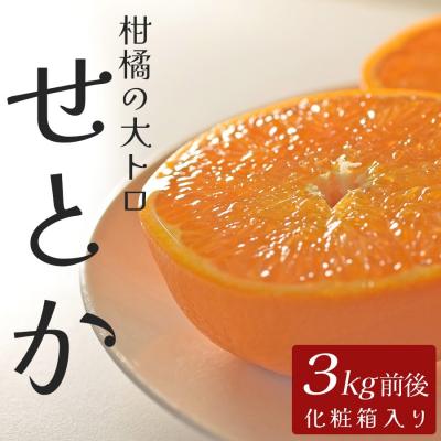 ふるさと納税 大月町 せとか 約3kg 贈答用 高知県産 ハウス栽培