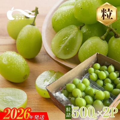 ふるさと納税 福島市 シャインマスカット粒詰2パック入 約1kg[2026年発送]No.2329