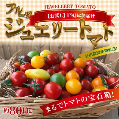 ふるさと納税 碧南市 [お試し]まるでトマトの宝石箱!フルーツジュエリートマト 約800g