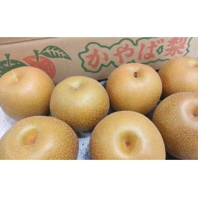 ふるさと納税 福島市 古関商店 かやば梨「豊水」約2kg[2023年発送]No.2356