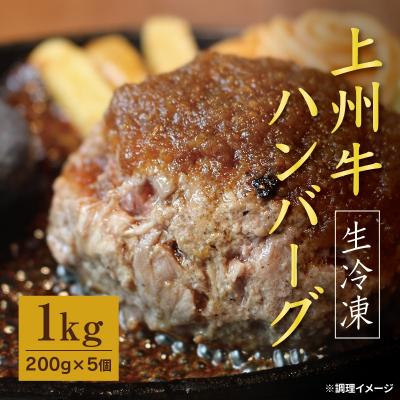 ふるさと納税 みどり市 生冷凍 上州牛ハンバーグ 1kg(200g×5個)【193