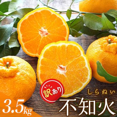 ふるさと納税 紀宝町 訳あり 不知火 約3.5kg 大小混合[2026年2月初旬〜3月下旬頃発送][njb670C]