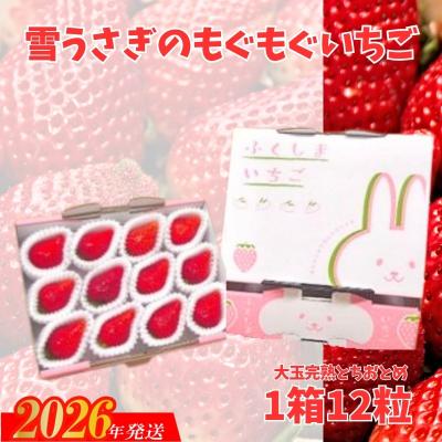 ふるさと納税 福島市 [大粒完熟とちおとめ ]雪うさぎのもぐもぐいちご 1箱12個入りNo.2477