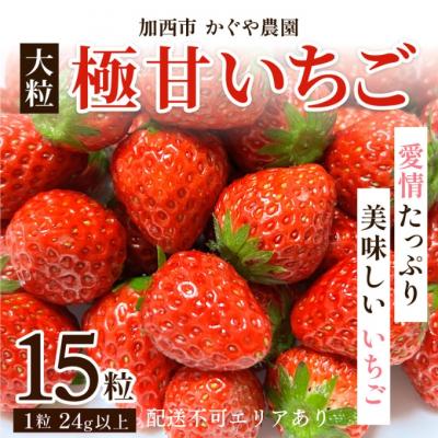 ふるさと納税 加西市 [令和8年産] かぐや農園の極甘 いちご 大粒 15粒 果物 フルーツ [No5698-1191]