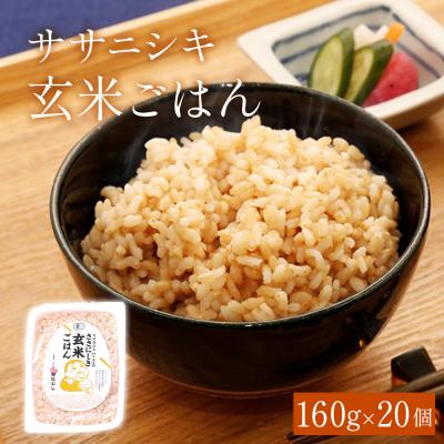 ふるさと納税 石巻市 ご飯 パック 玄米 ササニシキ ごはん 160g × 20個 レトルト パックご飯 宮城県産