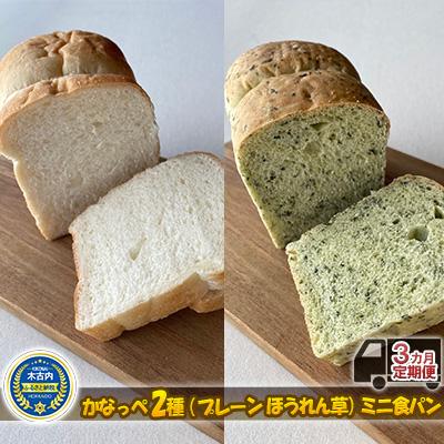ふるさと納税 木古内町 3カ月定期便 かなっぺ2種(プレーン・ほうれん草) ミニ食パン