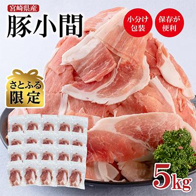 ふるさと納税 西都市 250g×20パック 小分け 合計5kg宮崎県産豚肉小間切れ[さとふる限定][2202]