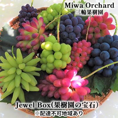 ふるさと納税 赤磐市 ジュエルボックス 皮ごと食べられる 葡萄 4〜5品種 詰合せ 2024年[NO5765-0868]