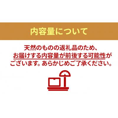 ふるさと納税 利尻町 利尻・宗谷産 冷凍ボイル毛蟹 570g前後×1尾 [No5888-0760]｜y-sf｜02