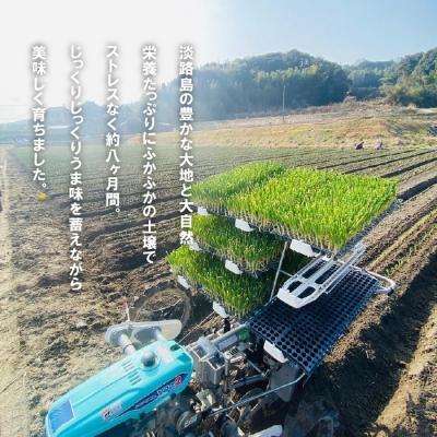 ふるさと納税 淡路市 【新たまねぎ】淡路島たまねぎ(5キロ)【発送時期:5月頃】 aa28008の画像