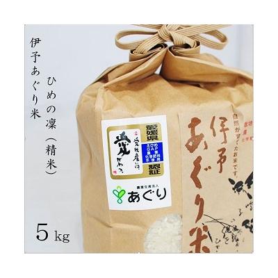 ふるさと納税 松前町 ★令和7年産発送★ 伊予あぐり米「ひめの凜」(精米5kg)