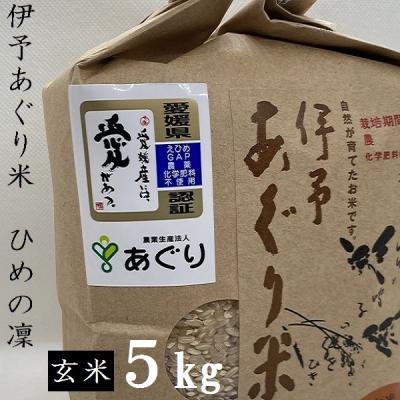 ふるさと納税 松前町 栽培期間中、農薬・化学肥料不使用 伊予あぐり米「ひめの凜」(玄米5kg)