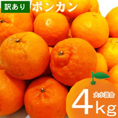 ふるさと納税 室戸市 [ご家庭用]訳ありポンカン 詰め合わせ 4kg