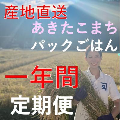 ふるさと納税 湯沢市 [定期便]あきたこまちレトルト玄米ごはん1年間定期便[E2303]