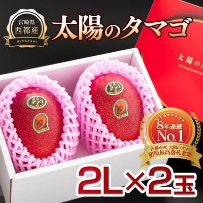 ふるさと納税 西都市 [太陽のタマゴ2玉]西都市産完熟マンゴー『先行受付』[2206]