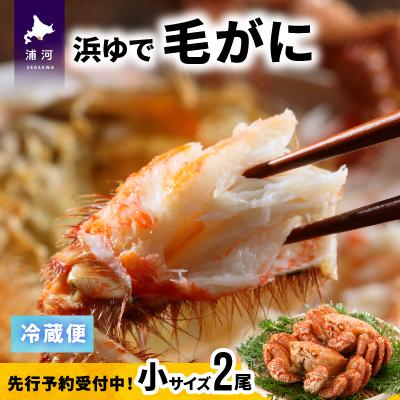 ふるさと納税 浦河町 [先行受付開始!]漁協の浜ゆで毛がに 小サイズ2尾セット※日付指定対応不可※[02-1202]