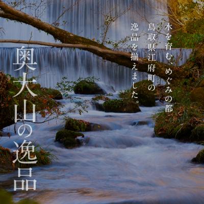 ふるさと納税 江府町 【定期便3回】天然水奥大山 500ml 1箱24本入り 3ヶ月連続発送 ミネラルウォーターの画像