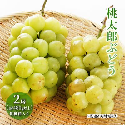 ふるさと納税 瀬戸内市 【2026年先行受付】桃太郎 ぶどう 2房(1房480g