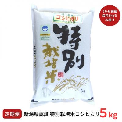 ふるさと納税 三条市 [定期便5kg×3ヶ月] 特別栽培米 コシヒカリ5kg 新潟県認証こしひかり