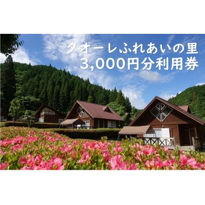 ふるさと納税 白川町 クオーレふれあいの里 利用券(3,000円分)