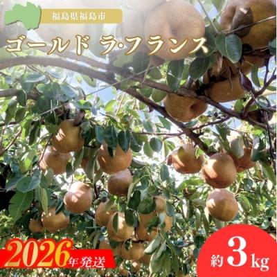 ふるさと納税 福島市 ヤマ考紺野果樹園 ゴールド ラフランス 約3kg[2026年発送 先行受付]No.2233