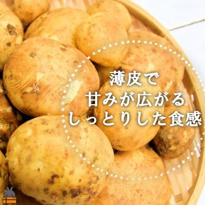 ふるさと納税 徳之島町 《まもなく旬!》〜これからは産地で選びたく