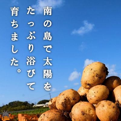 ふるさと納税 徳之島町 《今が旬!》〜これからは産地で選びたくなる