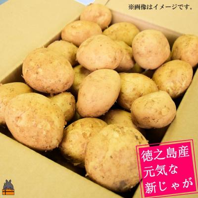 ふるさと納税 徳之島町 《今が旬!》〜これからは産地で選びたくなる