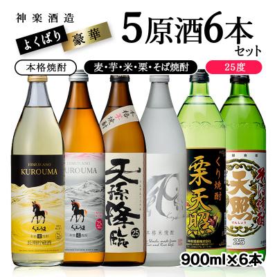 ふるさと納税 西都市 神楽酒造よくばり焼酎セット[芋・麦・米・栗・そば]5原料6本セット[2220]