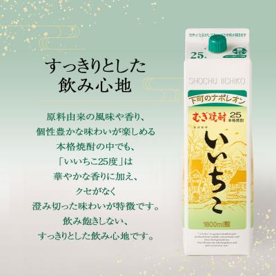 ふるさと納税 宇佐市 いいちこ パック 25度 1800ml 6本 【104304400