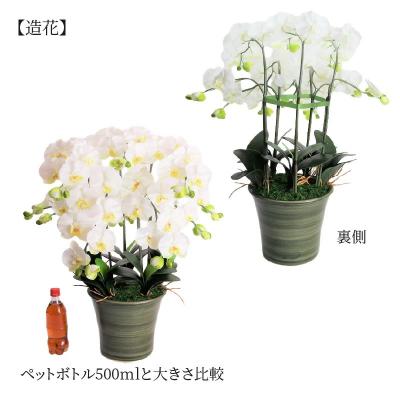 ふるさと納税 碧南市 綺麗で丈夫な三河陶器で贈る光触媒胡蝶蘭大輪5本立(グリーンの陶器×白色の花) H100-094の画像